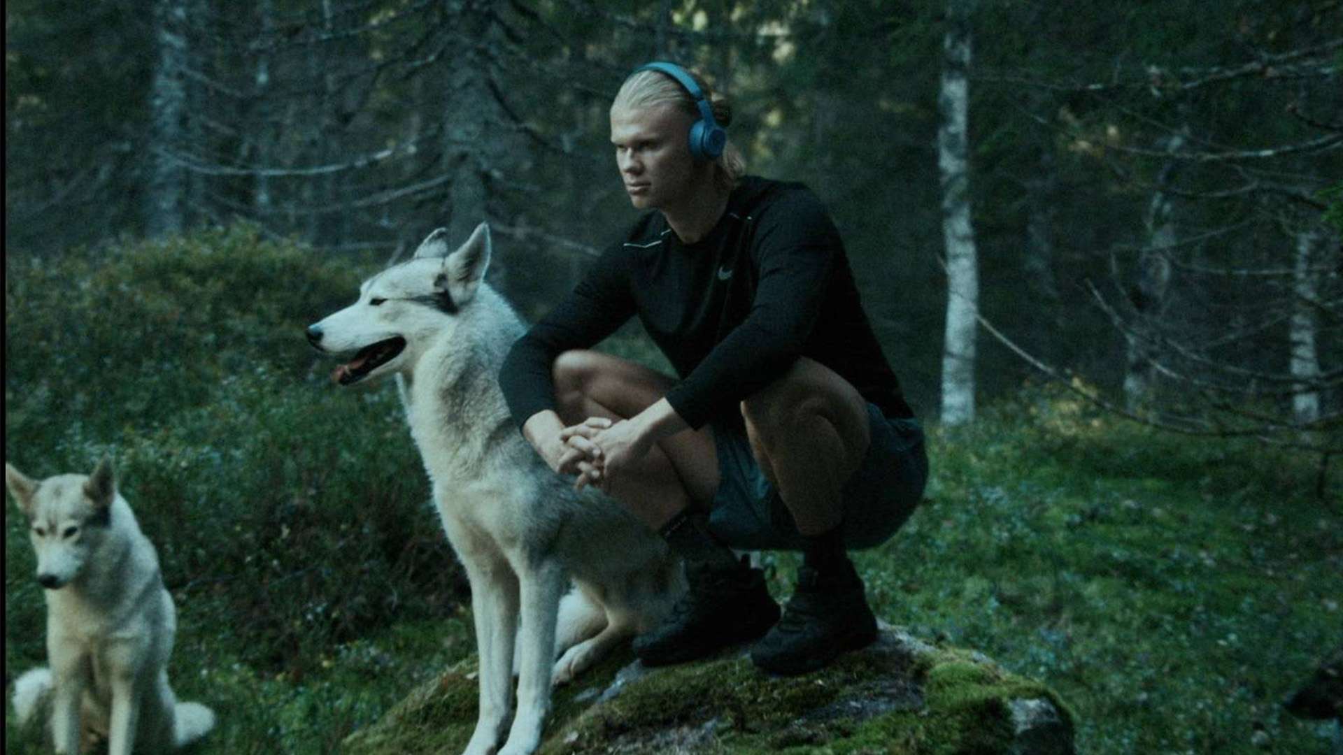 红蓝军团需 红蓝军团需